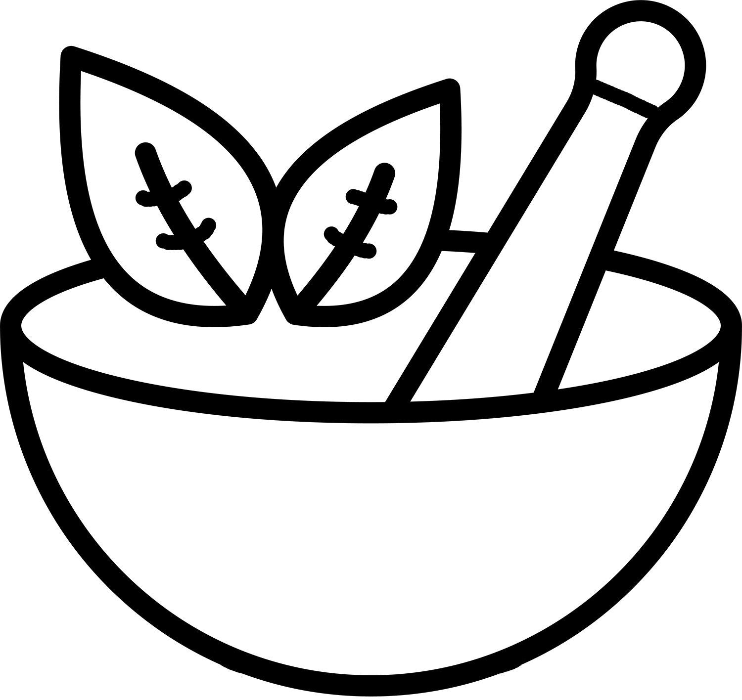 Icone naturopathie